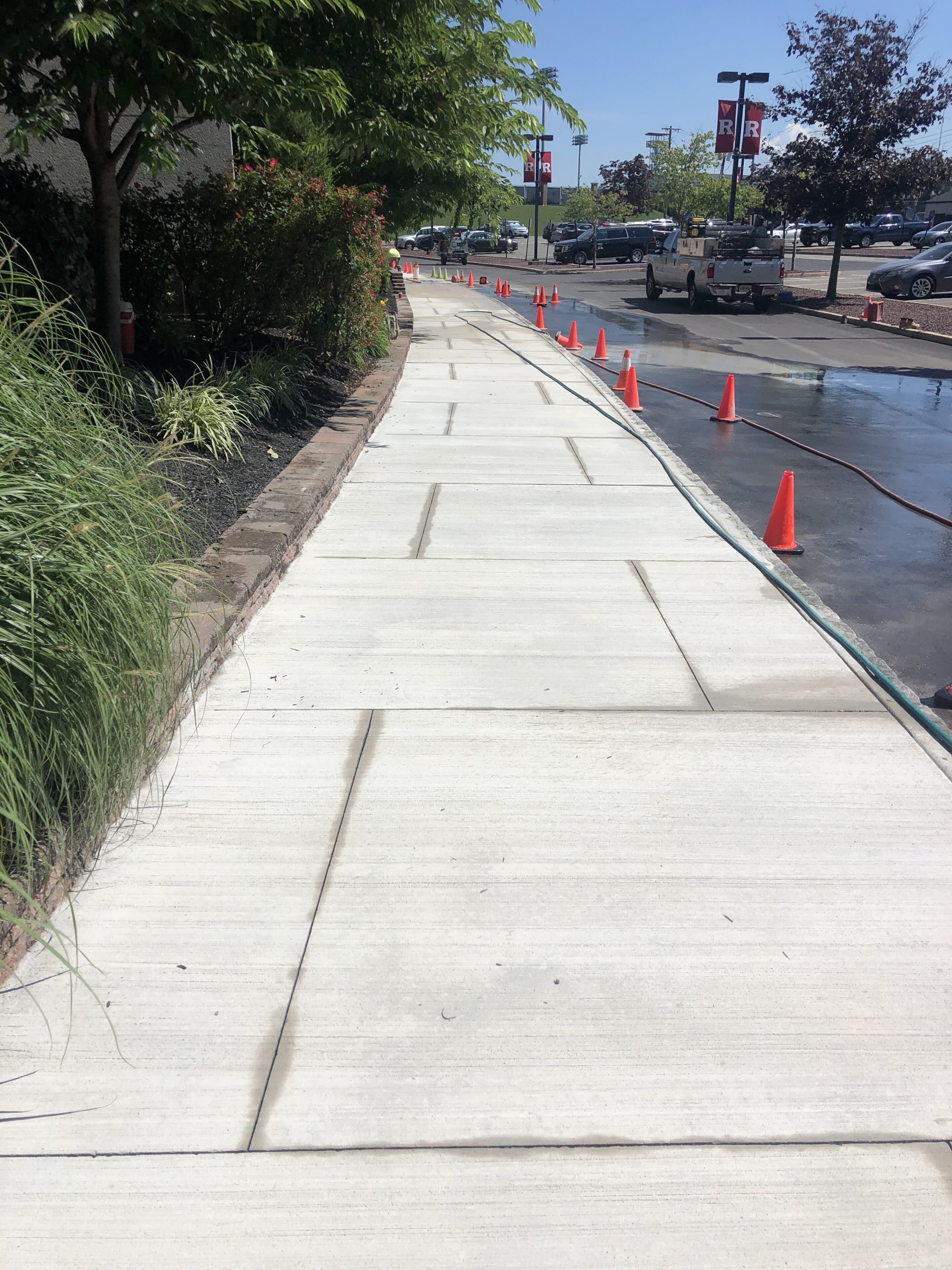 Sidewalk with orange traffic cones on the side of it, surrounded by trees, plants, and grass