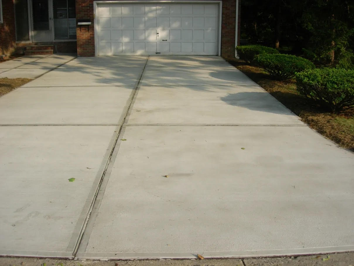 House with a white garage door in front of it, surrounded by plants and trees on the right side