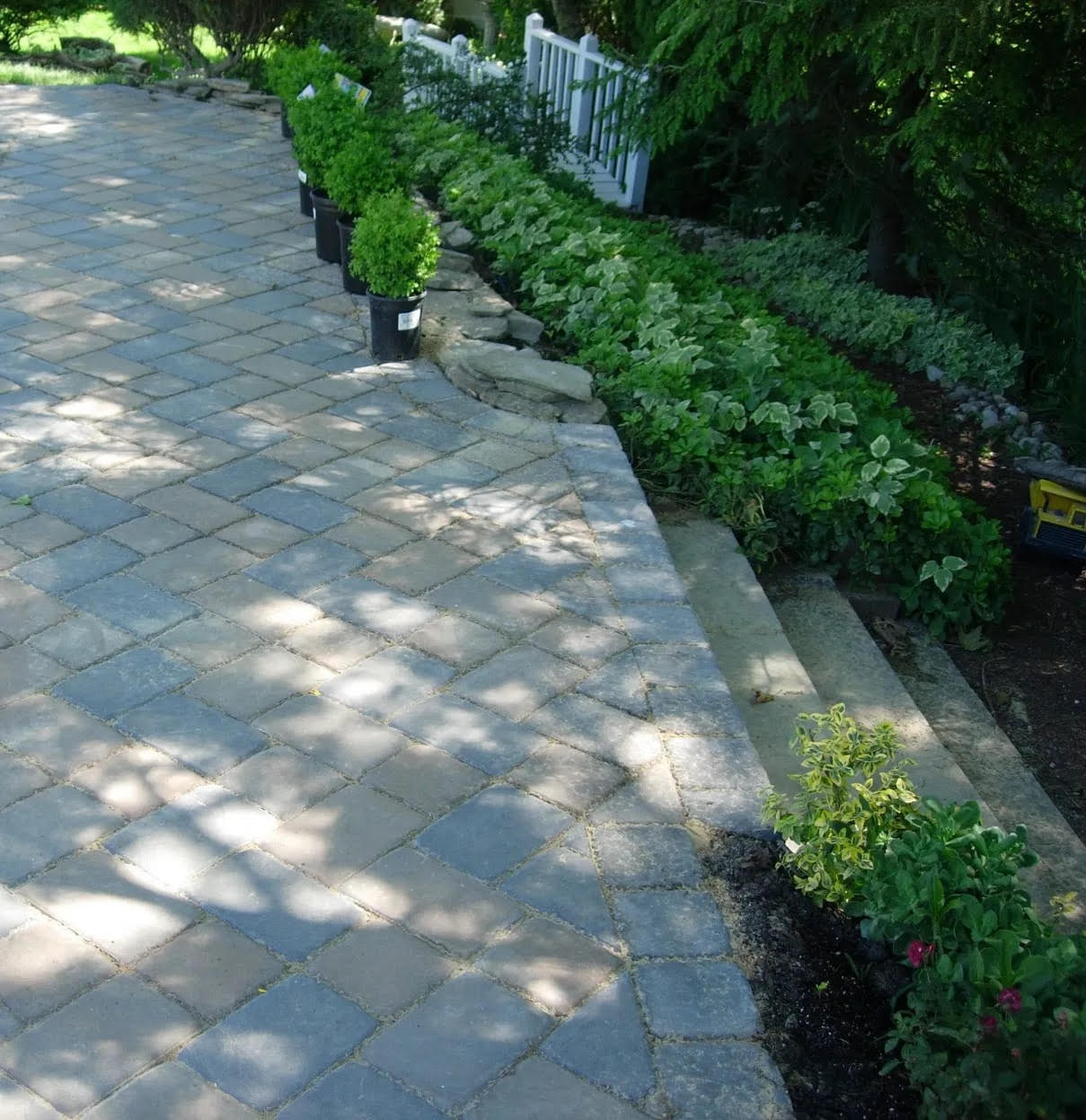 Brick walkway with potted plants and trees in the background, surrounded by a white picket fence